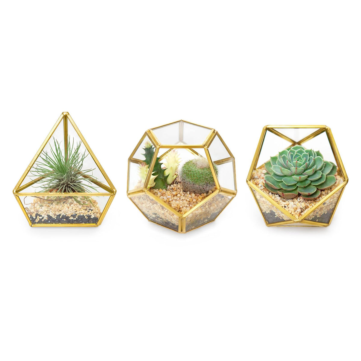 Mkono 3 Pack Geometric Glass Terrarium, 4" Gold Air Plant Holder Tabletop