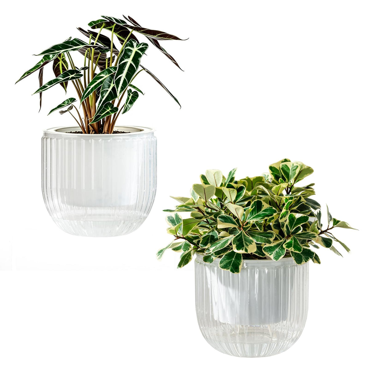 Melphoe Self Watering Pots for Indoor Plants Planter, 4.3 Inch 2 Pack Planters Self Watering Plant Pots for Flower, Houseplants, Succulent, African Violets and Cactus with Drainage