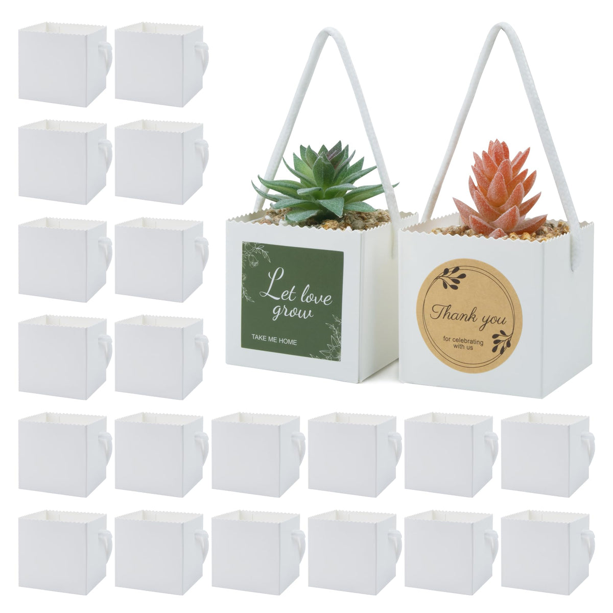 Temlum 2.5 Inch Succulent Wrap Bags (Fits 2.5″ Pots) with Thank You & Let Love Grow Stickers, Small Gift Box for Wedding, Baby Shower, Succulent Party Favors for Guests (Brown 40pcs)