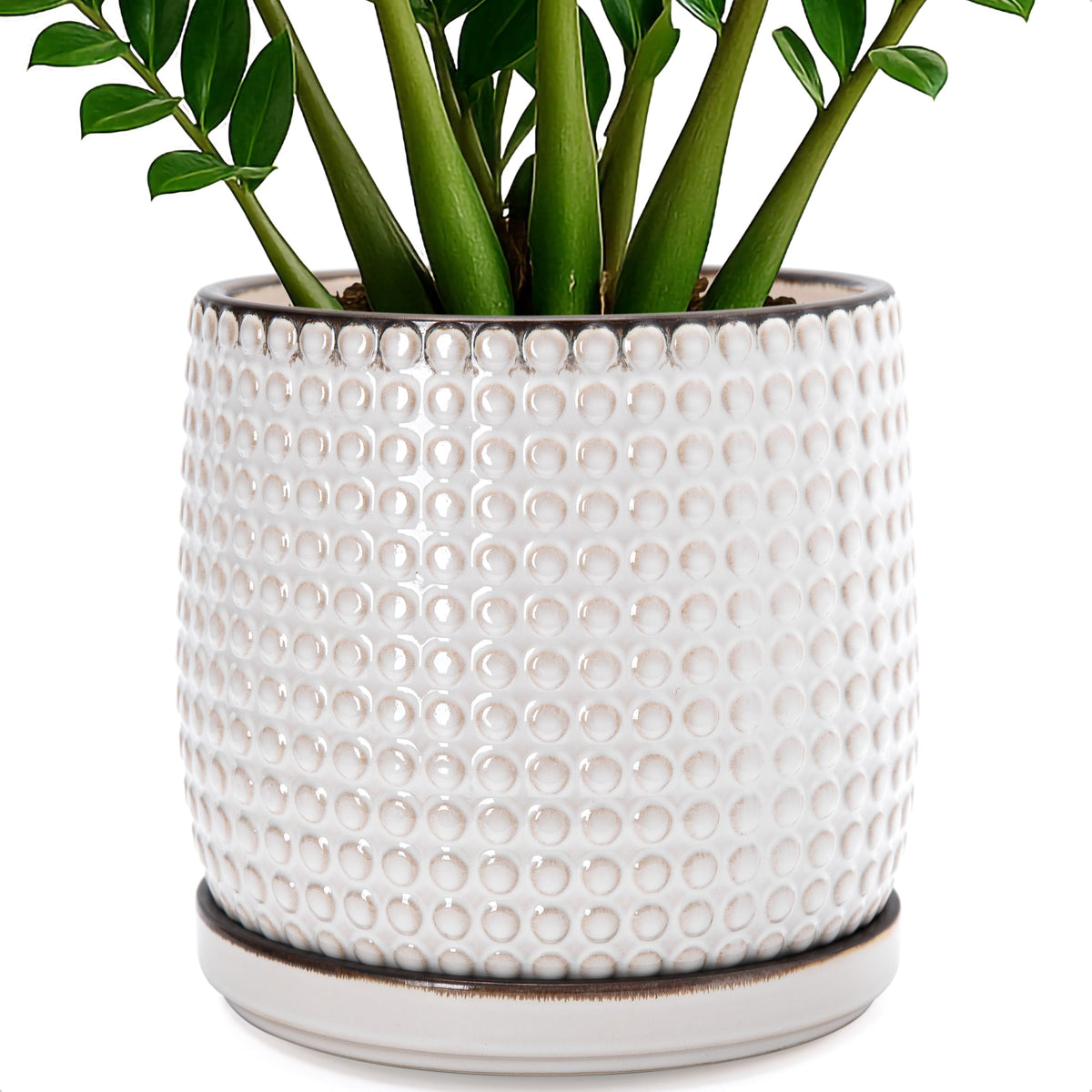 D'vine Dev Beaded Ceramic Pot with Saucer, 4 in, Midnight Blue, 27-C-Z-3