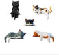5 Pcs Mini Cat