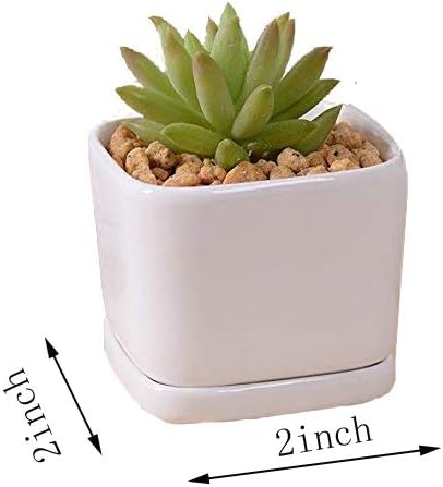 SeaStar Ceramic Succulent Mini Planter Pot,Mini 6 Set 2x1.65x2inch Square Modern Minimalist White/Window Box with Saucer for Office,Desk,House Balcony Landscape