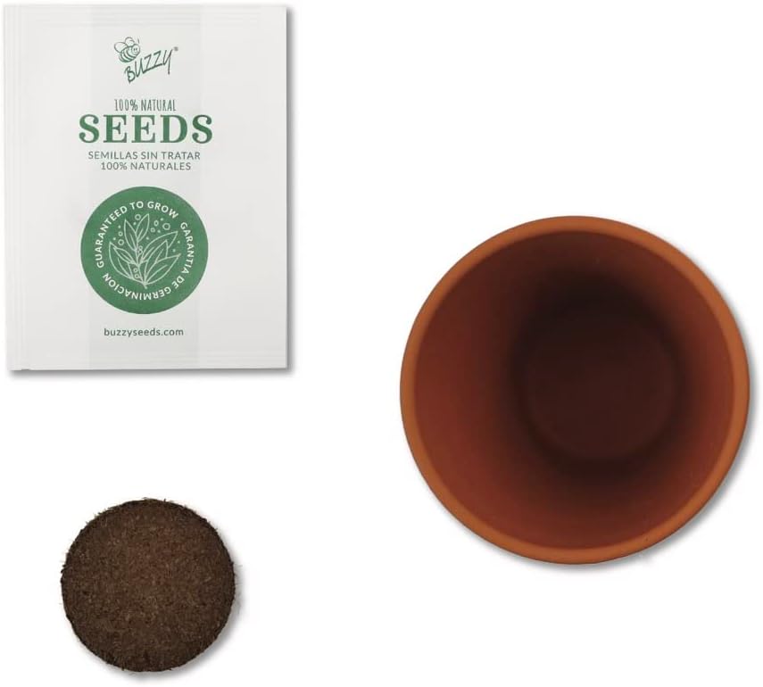 BUZZY Seeds Daydream Grow Kit 6-Pack, Terracotta Pots, Assorted Flowers