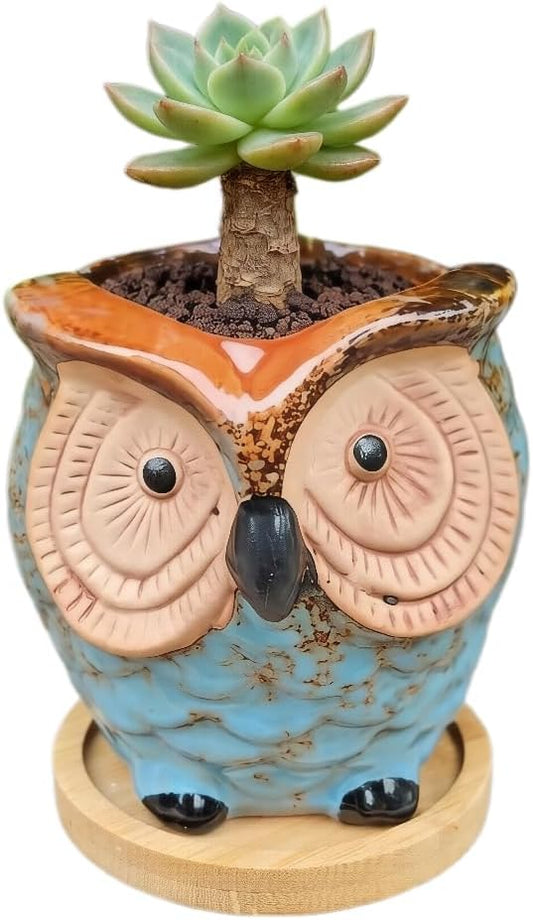 Mini 3.5 Inch Ceramic Owl Planter Pot with Drainage Hole & Bamboo Tray – Small Hand-Painted Animal Flower Pot for Succulent, Cactus, Desktop Decor, Plant Lovers Gift (No Plants/Soil)，Blue