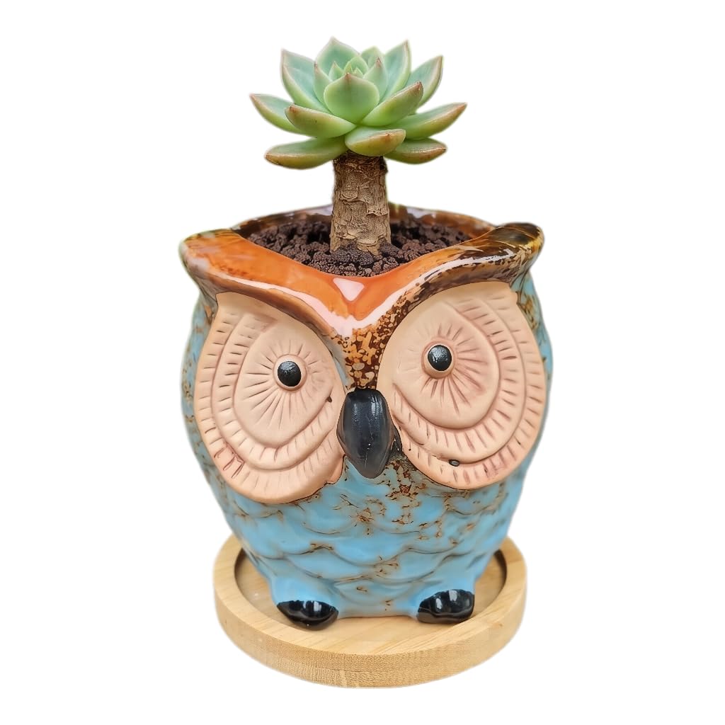 Mini 3.5 Inch Ceramic Owl Planter Pot with Drainage Hole & Bamboo Tray – Small Hand-Painted Animal Flower Pot for Succulent, Cactus, Desktop Decor, Plant Lovers Gift (No Plants/Soil)，Blue