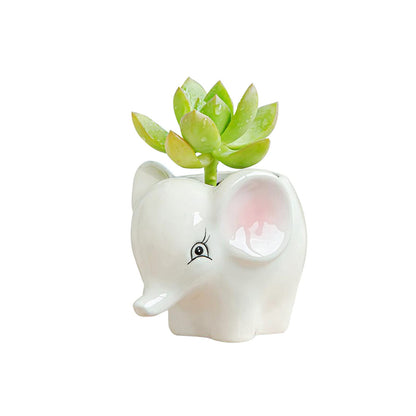 DIYOMR Cute Animal Ceramics Planter Small Succulent Pot Cartoon Shaped Plant Pot for Mini Plants Flower Cactus, Smooth Shiny Ceramic - Plants Not Included (Cow)