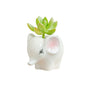 DIYOMR Cute Animal Ceramics Planter Small Succulent Pot Cartoon Shaped Plant Pot for Mini Plants Flower Cactus, Smooth Shiny Ceramic - Plants Not Included (Cow)
