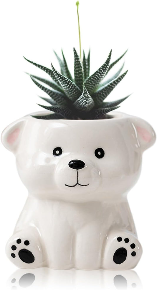 DIYOMR Cute Animals Planter, Mini Ceramic Cartoon Animal Shaped Succulent Flower Pot Indoor Air Plants Holder, Smooth Shiny Decorative Flower Cactus Planter - Plants Not Included (White Bear)