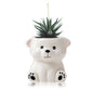 DIYOMR Cute Animals Planter, Mini Ceramic Cartoon Animal Shaped Succulent Flower Pot Indoor Air Plants Holder, Smooth Shiny Decorative Flower Cactus Planter - Plants Not Included (White Bear)