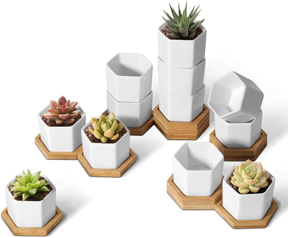 T4U Small Succulent Pots 12 Pack, Mini Flower Planters with Drainage White