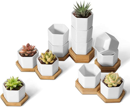 T4U Small Succulent Pots 12 Pack, Mini Flower Planters with Drainage White