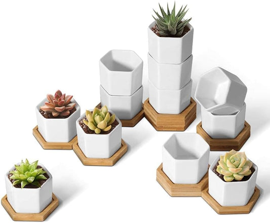 T4U Small Succulent Pots 12 Pack, Mini Flower Planters with Drainage White