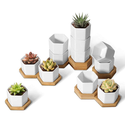 T4U Small Succulent Pots 12 Pack, Mini Flower Planters with Drainage White