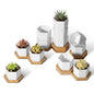 T4U Small Succulent Pots 12 Pack, Mini Flower Planters with Drainage White