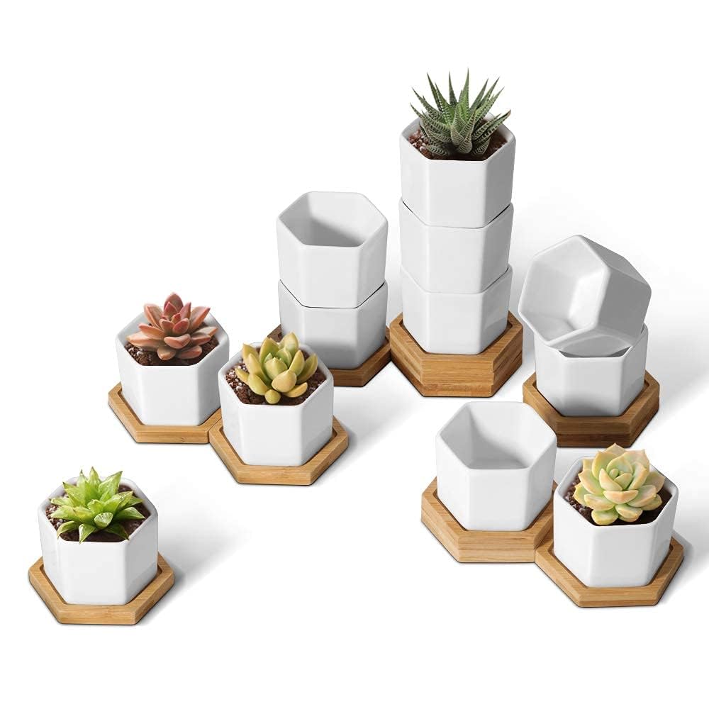 T4U Small Succulent Pots 12 Pack, Mini Flower Planters with Drainage White