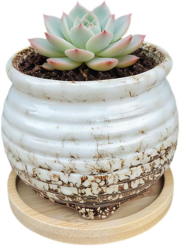3.5 Inch Ceramic Succulent Planter Pot with Drainage Hole & Bamboo Tray - Mini Round Small Plant Pot for Indoor Desktop, Cactus Flower Container (Plant and Soil Not Included)，White