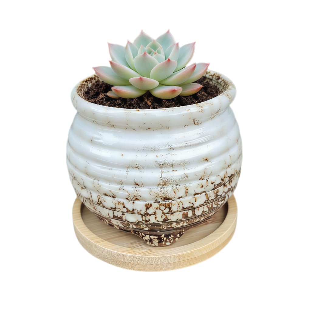 3.5 Inch Ceramic Succulent Planter Pot with Drainage Hole & Bamboo Tray - Mini Round Small Plant Pot for Indoor Desktop, Cactus Flower Container (Plant and Soil Not Included)，White