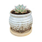 3.5 Inch Ceramic Succulent Planter Pot with Drainage Hole & Bamboo Tray - Mini Round Small Plant Pot for Indoor Desktop, Cactus Flower Container (Plant and Soil Not Included)，White