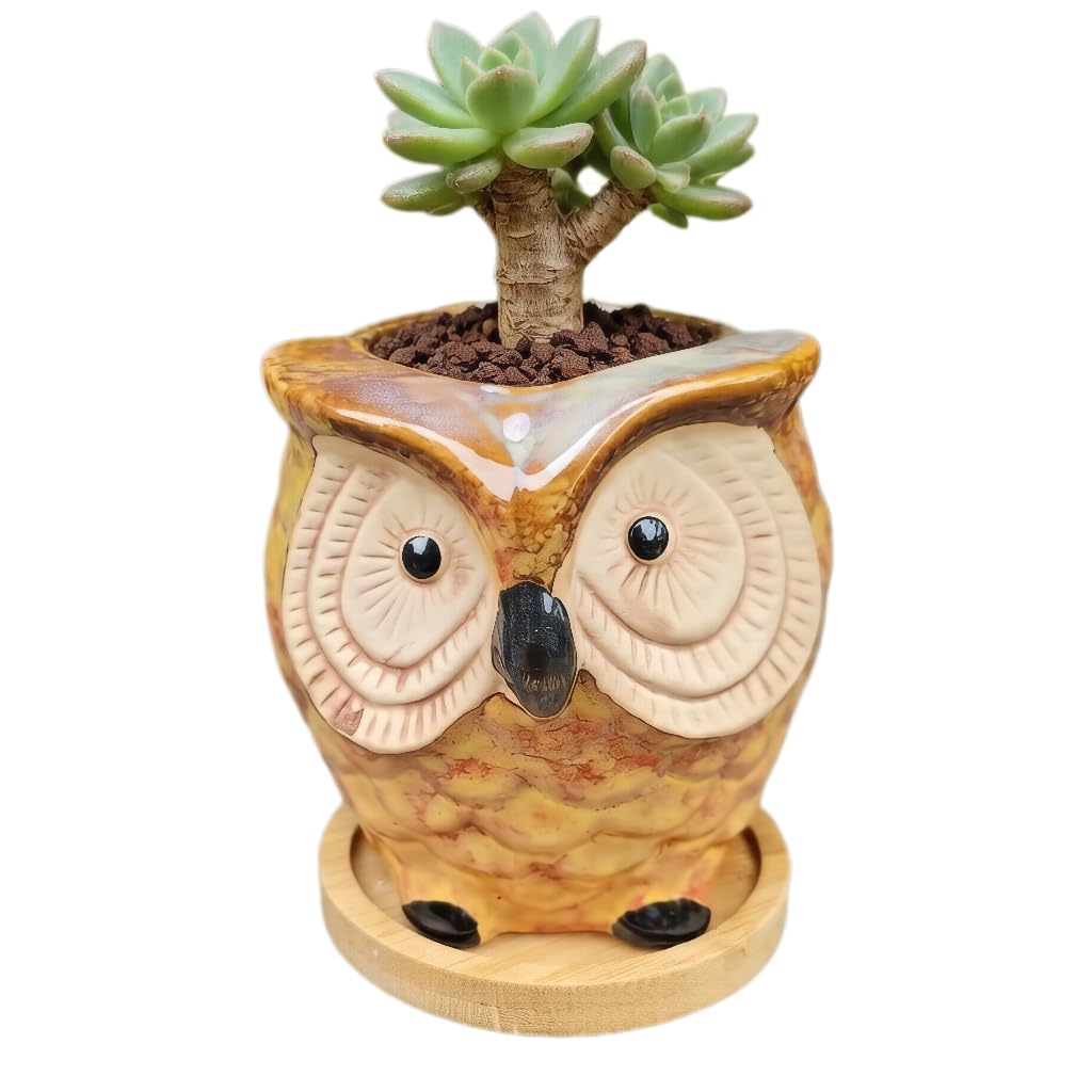 Mini 3.5 Inch Ceramic Owl Planter Pot with Drainage Hole & Bamboo Tray – Small Hand-Painted Animal Flower Pot for Succulent, Cactus, Desktop Decor, Plant Lovers Gift (No Plants/Soil)，Blue