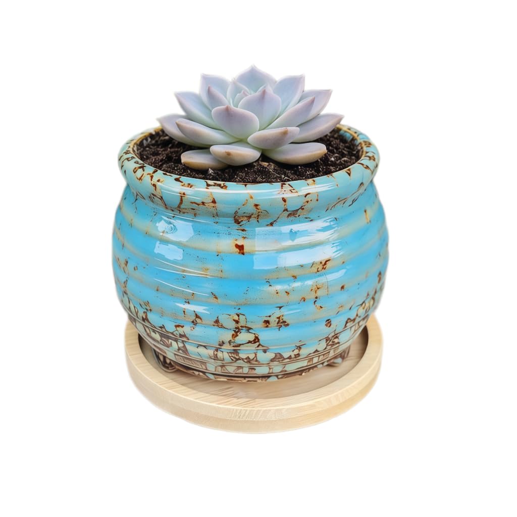 3.5 Inch Ceramic Succulent Planter Pot with Drainage Hole & Bamboo Tray - Mini Round Small Plant Pot for Indoor Desktop, Cactus Flower Container (Plant and Soil Not Included)，White