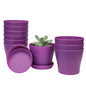 TDHDIKE 10 Pcs Plastic Planters Indoor Pots with Pallet