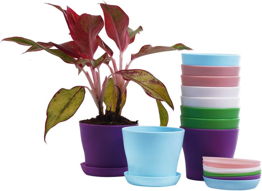 TDHDIKE 10 Pcs Plastic Planters Indoor Pots with Pallet