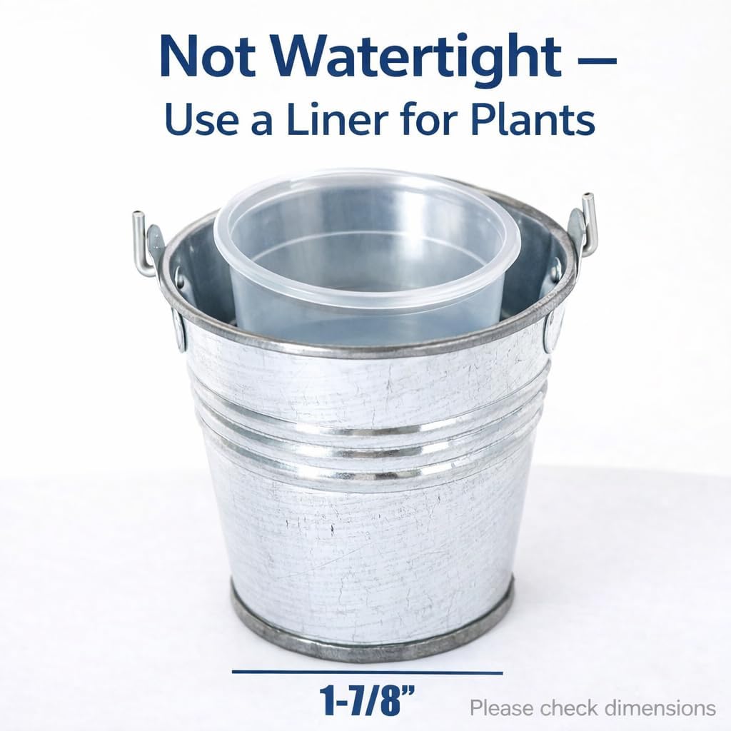 GIFTEXPRESS 12 Pack Mini Size 2.37" Tall Metal Buckets with Handles, Small Galvanized Tin Pails for Party Favor, Succulent, Wedding, Not Watertight