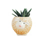 DIYOMR Cute Animal Ceramics Planter Small Succulent Pot Cartoon Shaped Plant Pot for Mini Plants Flower Cactus, Smooth Shiny Ceramic - Plants Not Included (Cow)