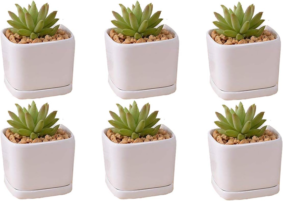 SeaStar Ceramic Succulent Mini Planter Pot,Mini 6 Set 2x1.65x2inch Square Modern Minimalist White/Window Box with Saucer for Office,Desk,House Balcony Landscape