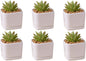 SeaStar Ceramic Succulent Mini Planter Pot,Mini 6 Set 2x1.65x2inch Square Modern Minimalist White/Window Box with Saucer for Office,Desk,House Balcony Landscape