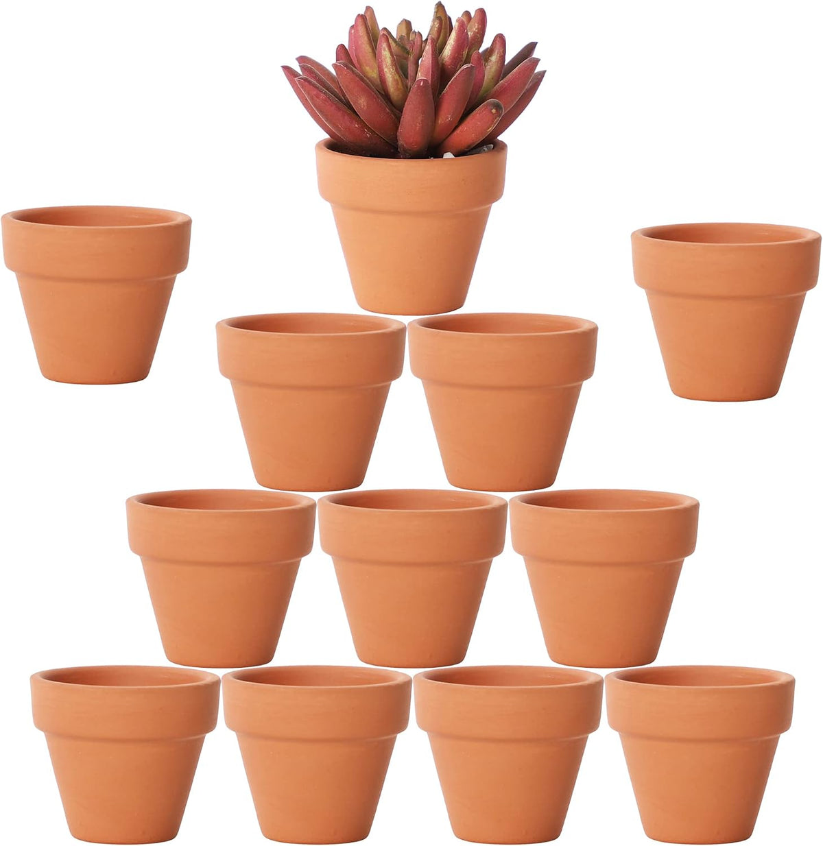 Yishang 1.9 Inch Tiny Terracotta Pots Pack of 12-Small Mini Clay Pots with Drainage Holes Flower Nursery Terra Cotta Planter for Tiny Cactus Herb lithop,Succulent Plants,Crafts,Wedding Favor
