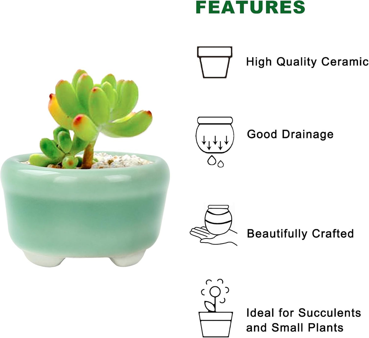 Bonsai Planter 1.8 inch (4.5cm) Mini Succulent Glazed Pots Set of 18 Green