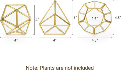 Mkono 3 Pack Geometric Glass Terrarium, 4" Gold Air Plant Holder Tabletop