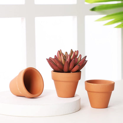 Yishang 1.9 Inch Tiny Terracotta Pots Pack of 12-Small Mini Clay Pots with Drainage Holes Flower Nursery Terra Cotta Planter for Tiny Cactus Herb lithop,Succulent Plants,Crafts,Wedding Favor