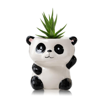 DIYOMR Cute Animals Planter, Mini Ceramic Cartoon Animal Shaped Succulent Flower Pot Indoor Air Plants Holder, Smooth Shiny Decorative Flower Cactus Planter - Plants Not Included (White Bear)