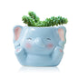 DIYOMR Cute Animals Planter, Mini Ceramic Cartoon Animal Shaped Succulent Flower Pot Indoor Air Plants Holder, Smooth Shiny Decorative Flower Cactus Planter - Plants Not Included (White Bear)