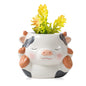 DIYOMR Cute Animals Planter, Mini Ceramic Cartoon Animal Shaped Succulent Flower Pot Indoor Air Plants Holder, Smooth Shiny Decorative Flower Cactus Planter - Plants Not Included (White Bear)