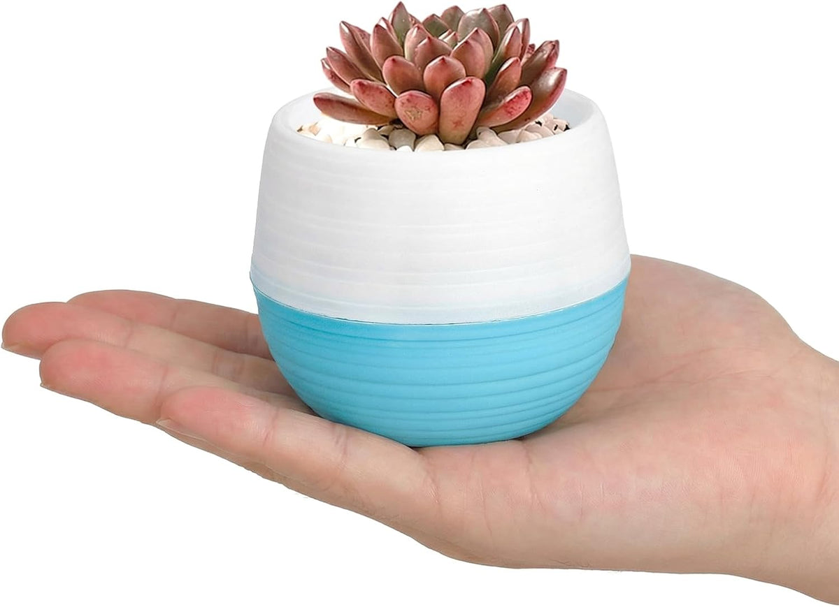 Elsjoy 30 Pack Mini Succulent Pot, 3 Inch Plastic Seed Starter Pots Small Cute Succulent Planter with Drainage for Indoor & Outdoor Plants, Home Decor, Free Assembly