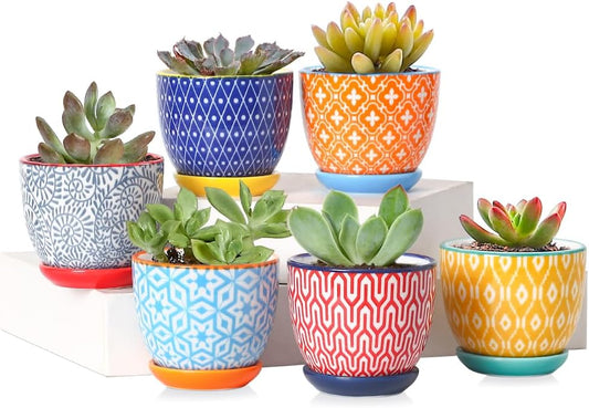 Selamica Ceramic 2.4 Inch Succulent Pots, Mini Flower Pots for Cactus Plant with Drainage Holes & Saucers, Home Decor, Set of 6, Assorted Colors
