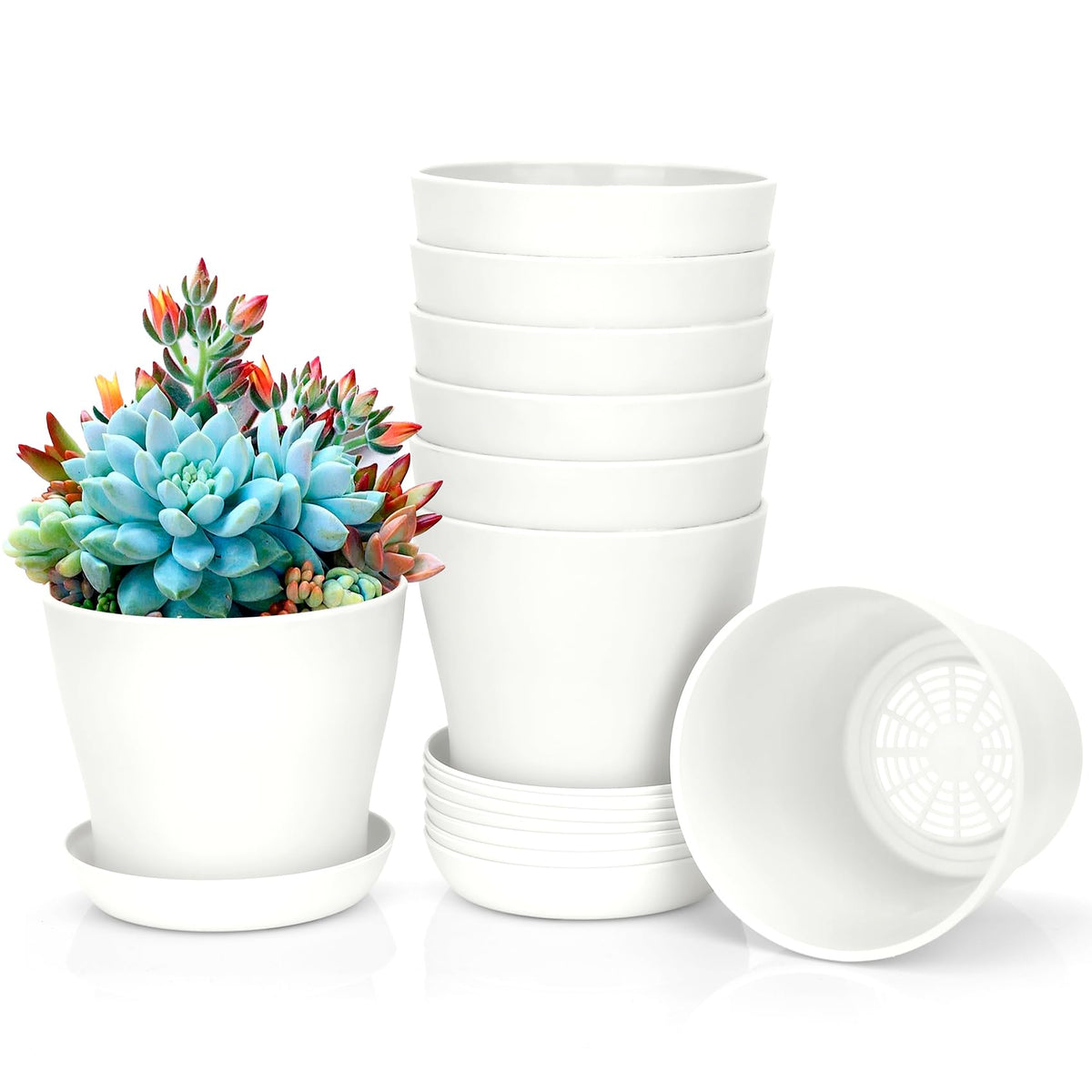 8 Pcs Plant Pots,3.8" Flower Pots,Gardening Gifts,Plastic Pot for Plants,Nursery Succulent Pot Planters for Indoor Plants,Small Flower Pots,Cute Plant Pots