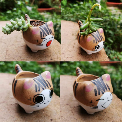 Set of 5 Mini Cute Cat Ceramic Succulent Pots Planters with Drainage Hole
