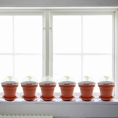 PURPLE STAR 1N 50 Packs Cupcake Plant Nursery Pots with Humidity Dome- Planting Containers Cups- Small Flower Pots with Trays & Lids for Indoor Outdoor Seedling Succulent Vegetable (Wine Red)