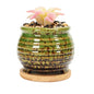 3.5 Inch Ceramic Succulent Planter Pot with Drainage Hole & Bamboo Tray - Mini Round Small Plant Pot for Indoor Desktop, Cactus Flower Container (Plant and Soil Not Included)，White