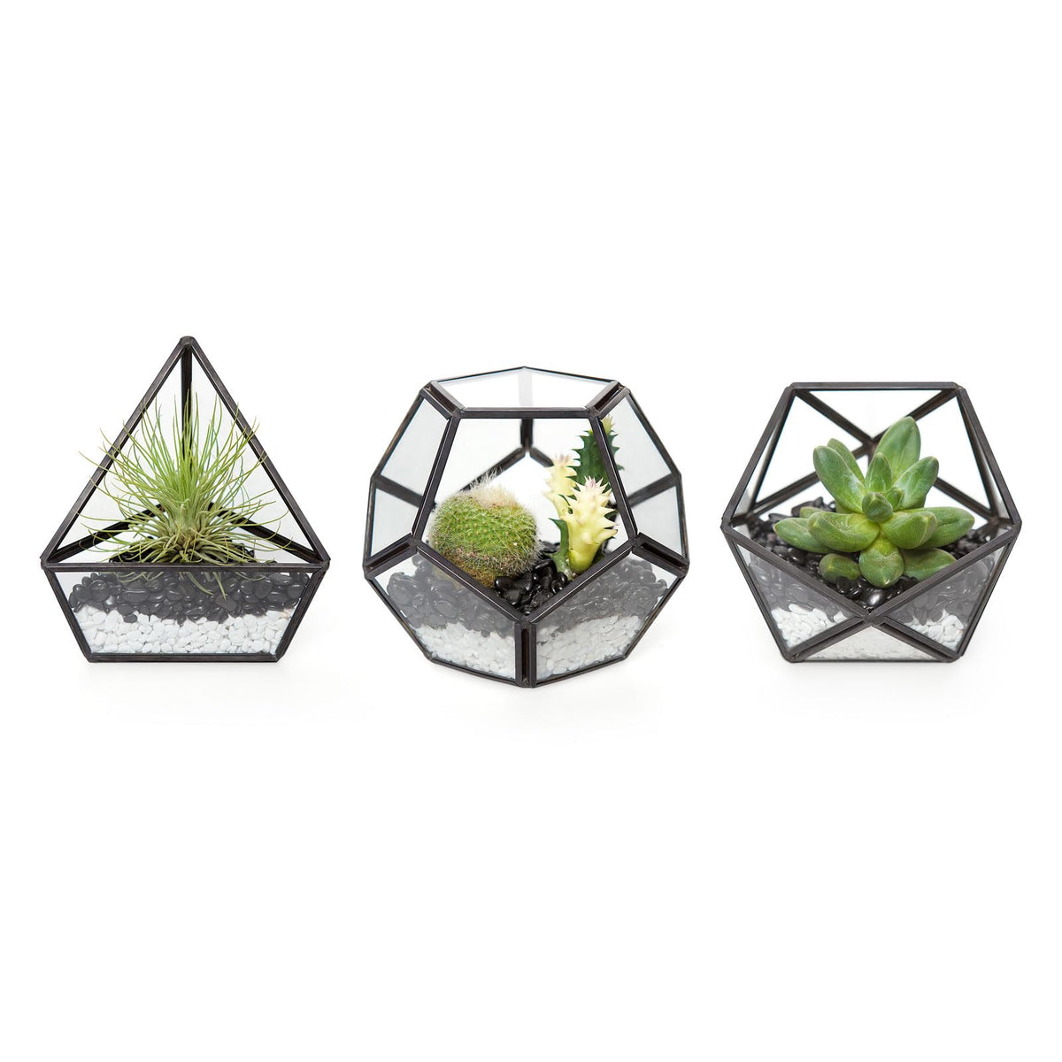 Mkono 3 Pack Geometric Glass Terrarium, 4" Gold Air Plant Holder Tabletop