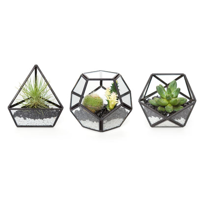 Mkono 3 Pack Geometric Glass Terrarium, 4" Gold Air Plant Holder Tabletop