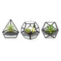 Mkono 3 Pack Geometric Glass Terrarium, 4" Gold Air Plant Holder Tabletop