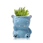 DIYOMR Cute Animals Planter, Mini Ceramic Cartoon Animal Shaped Succulent Flower Pot Indoor Air Plants Holder, Smooth Shiny Decorative Flower Cactus Planter - Plants Not Included (White Bear)