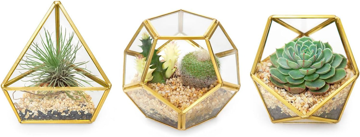 Mkono 3 Pack Geometric Glass Terrarium, 4" Gold Air Plant Holder Tabletop