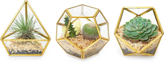 Mkono 3 Pack Geometric Glass Terrarium, 4" Gold Air Plant Holder Tabletop