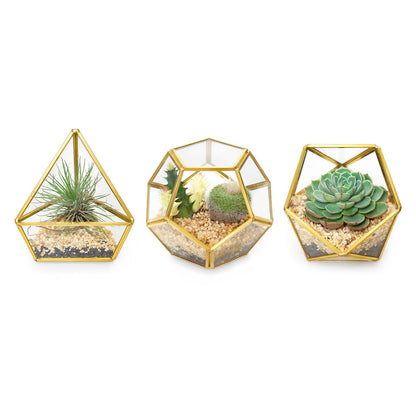 Mkono 3 Pack Geometric Glass Terrarium, 4" Gold Air Plant Holder Tabletop
